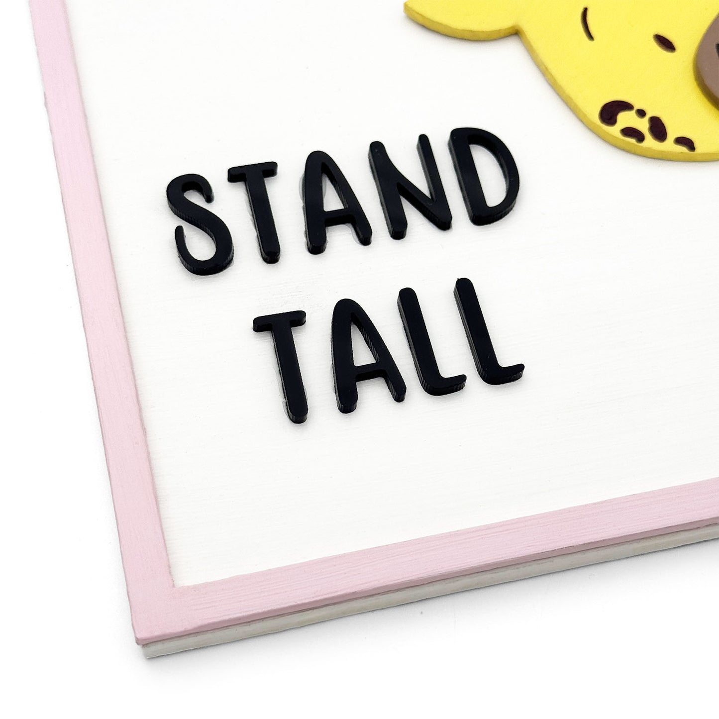 Stand Tall Hand-Painted Wooden Kids Wall Frame