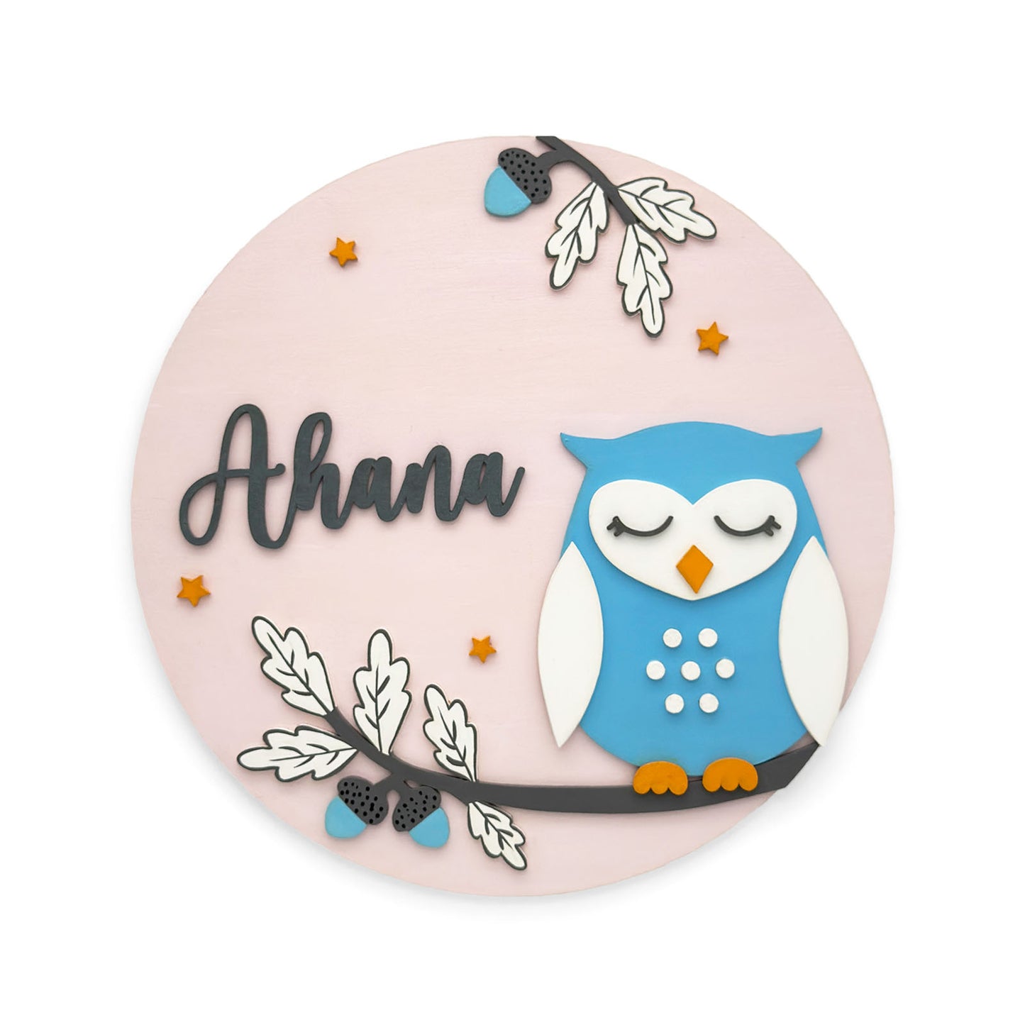 Owl Themed Hand-Painted Wooden Round Kids Name Plate